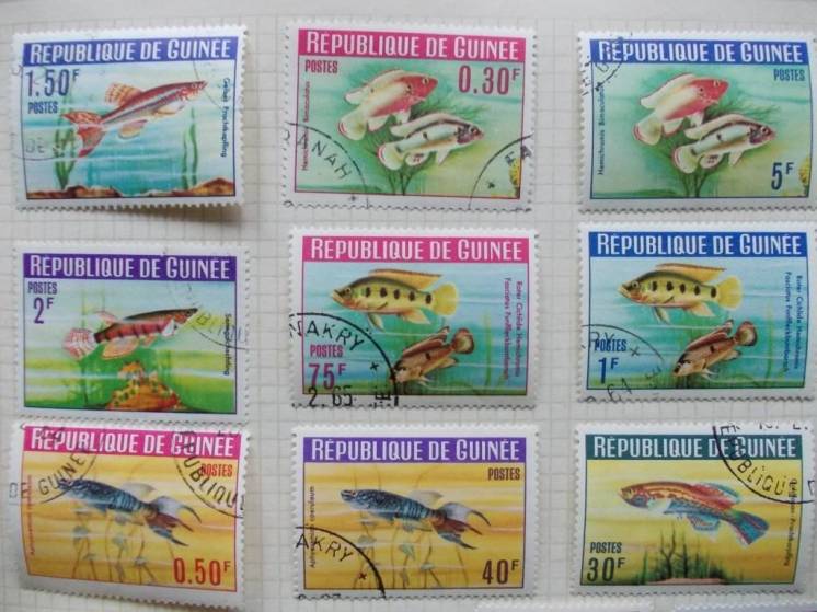 Продам коллекцию марок разных стран до 1970 года. Смотрите видео.