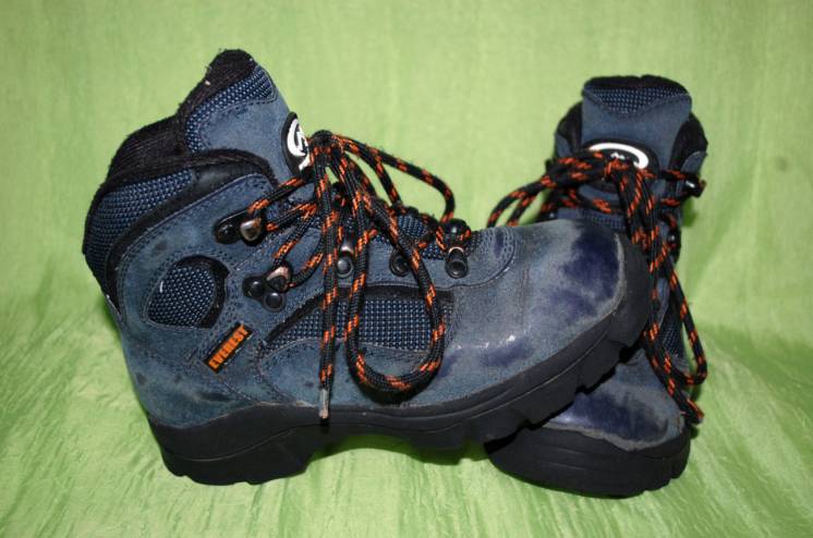 Чоботи ботинки черевики Everest 31