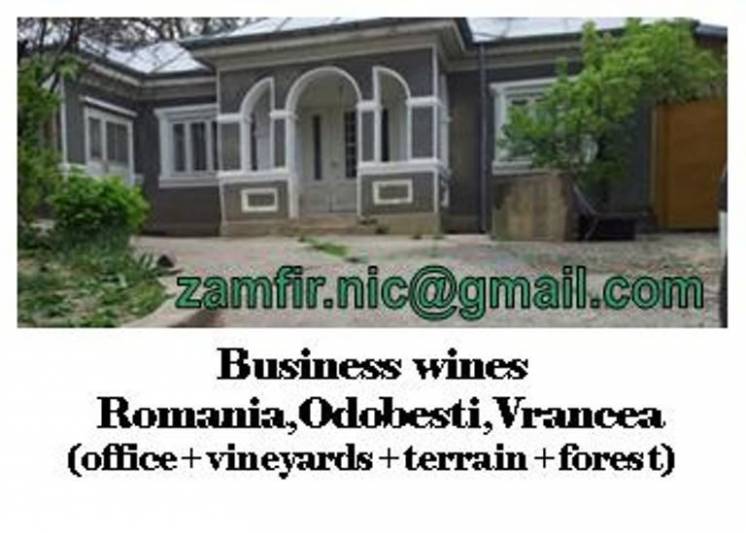 фермерский дом+винный бизнес(виноградников+лес+земля+дом)Румынии