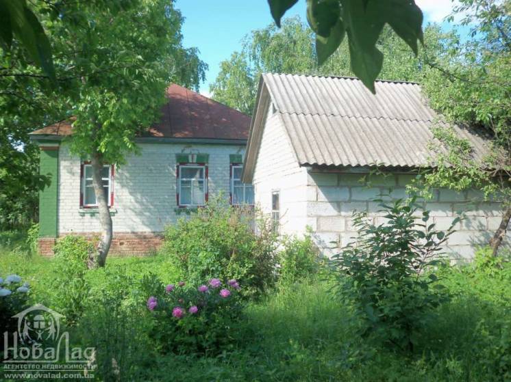 Продается дом по дороге Чернигов - Киев село Чемер