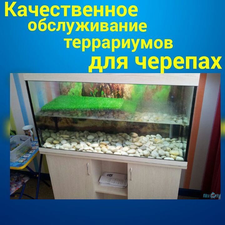 Обслуживание аквариумов и террариумов.