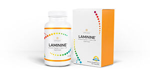Ламинин (laminine) 120 капсул