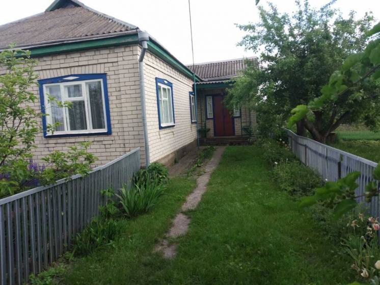 Отличный дом/дача в экологически чистом месте (Пирятинський район)