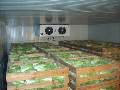 аренда холодильной камеры фркты,овощи,цитрусовые.