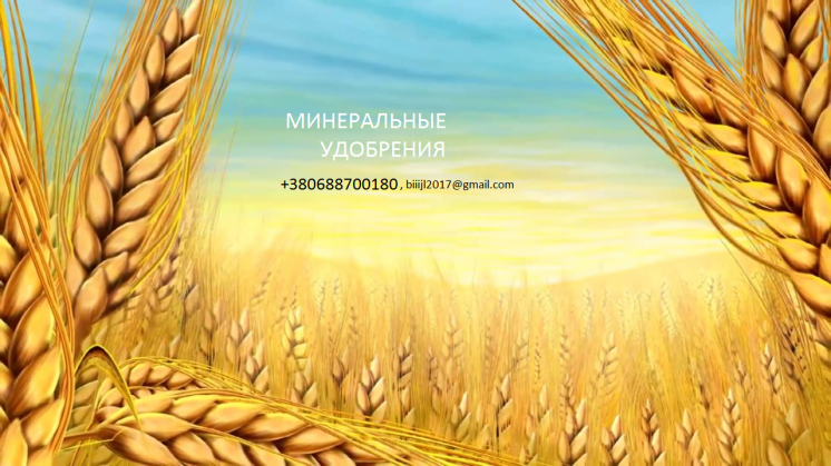 Минеральные удобрения вагонными, машинными нормами по Украине, экспорт