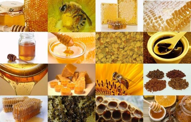 Закупаем натуральный пчелиный мед и воск оптом