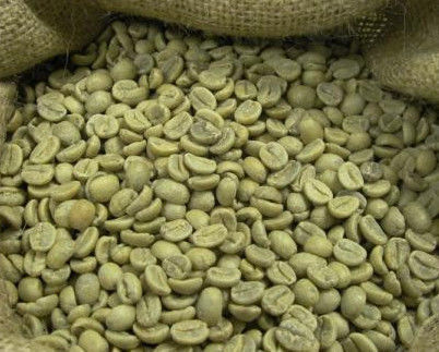 Зеленый кофе в зернах Arabica Plantation из Индии