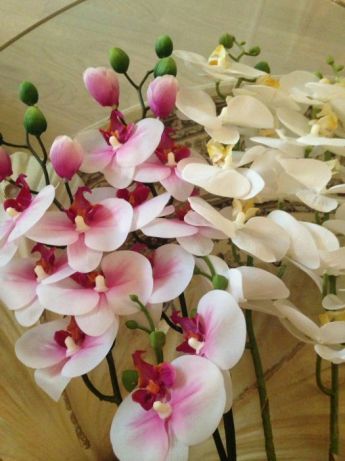 Квіти, Орхідеї силіконові
