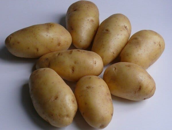 Предлагаю ранние и среднеранние сорта посадочного картофеля