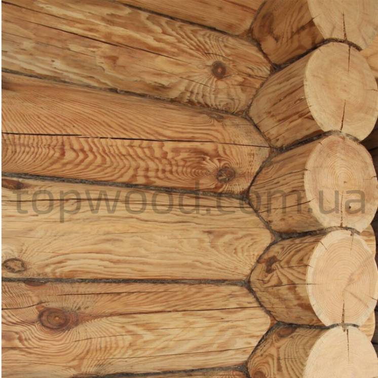 Замена венцов деревянного дома в Киеве и Киевской области
