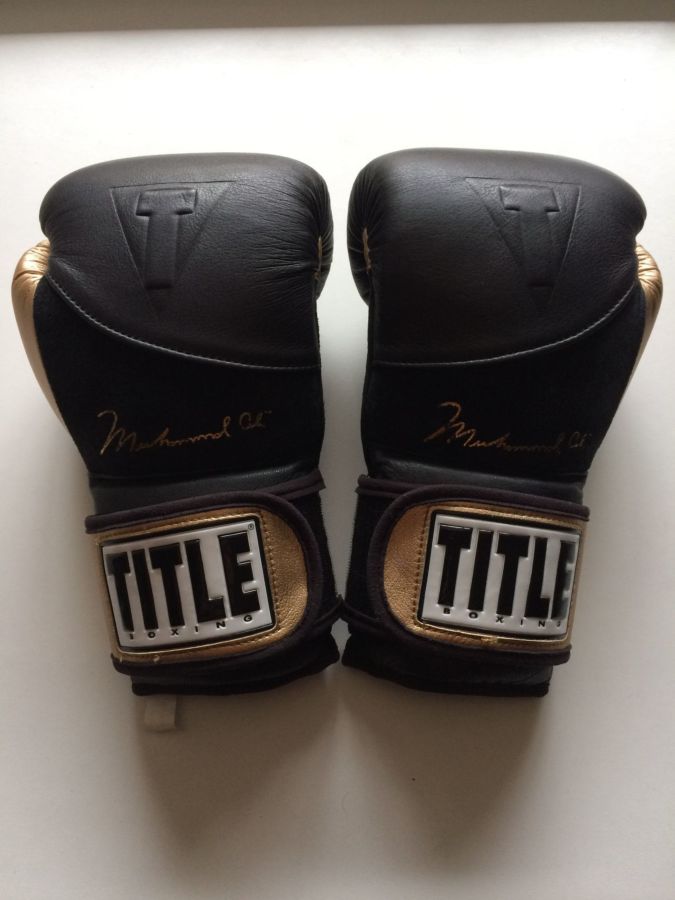 Боксерские перчатки Title Boxing Alli Legacy Training Gloves 14 унций