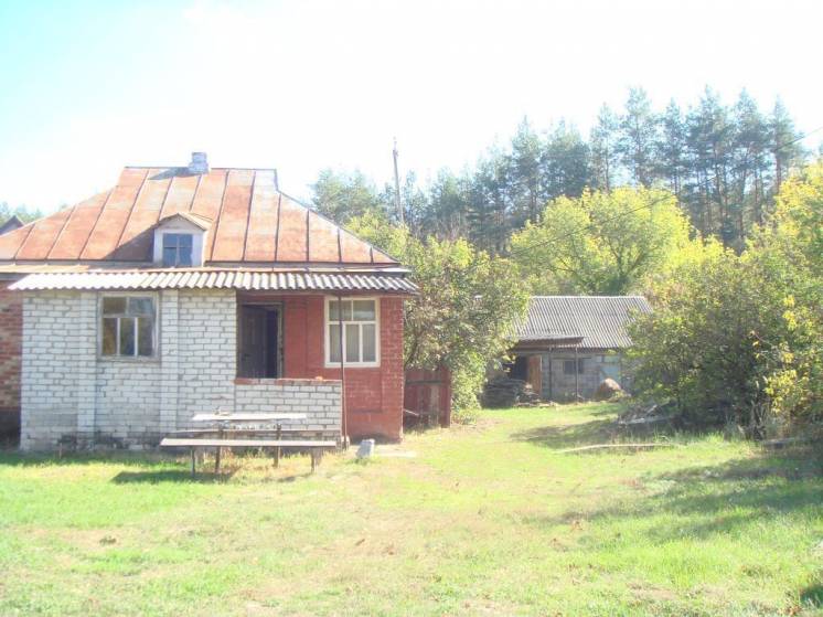 Добротный загородный дом в Задонецком.