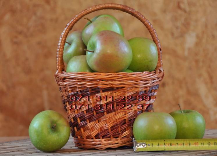 Красивые вкусные яблоки из сада
