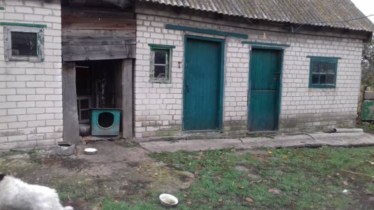 Продам дом в Новоселовке
