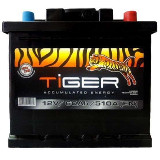 Продажа аккумулятора 60 Ah/12V Euro (0)Tiger