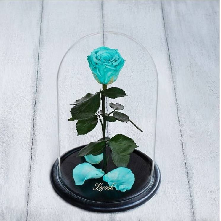 Стабилизированная роза в колбе Lerosh - Standart 33 см, Бирюзовая