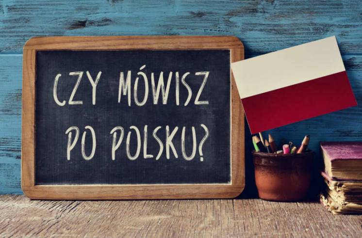 Переклади! Język Polski. Польська мова