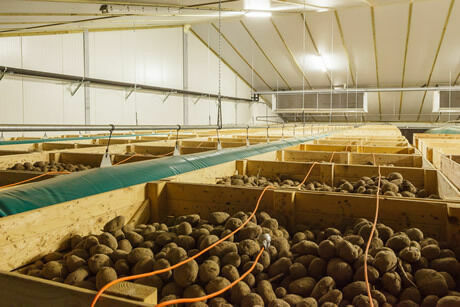 Холодильный склад для хранения картофеля овощехранилище