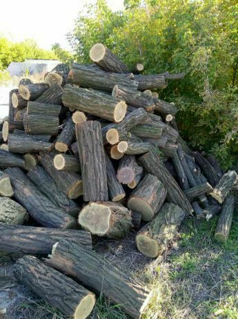 Продам дрова акация метровые 600 чушками 700 есть доставка