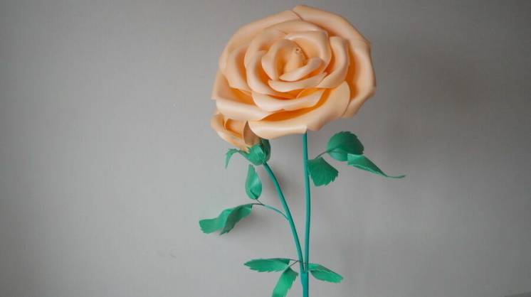 Оранжевая роза (ростовые цветы) продажа/аренда