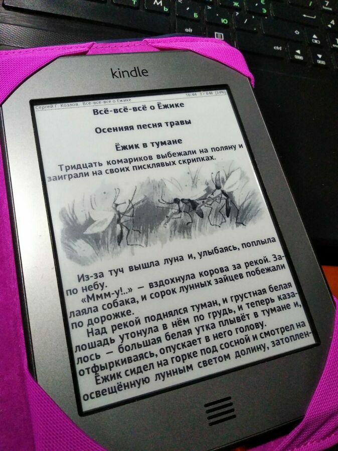 Электронная книга Amazon Kindle 4 D01200. Русская + FB2 + чехол