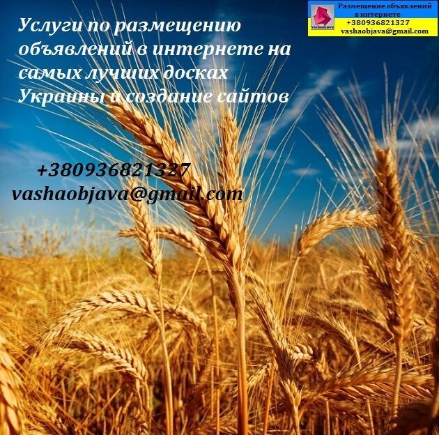 Реклама на досках объявлений  Украины