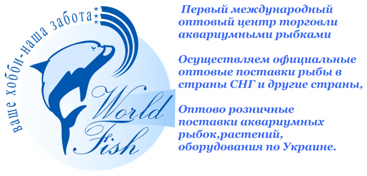 аквариумные рыбки оптом и в розницу с доставкой по всей Украине и СНГ