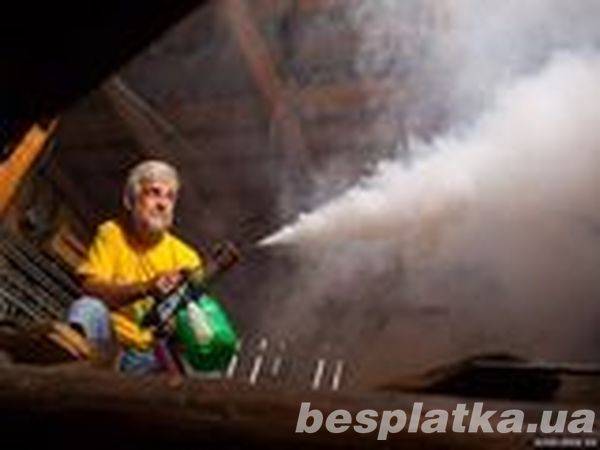 Дезинсекция помещений  газом в Киеве. Уничтожение насекомых