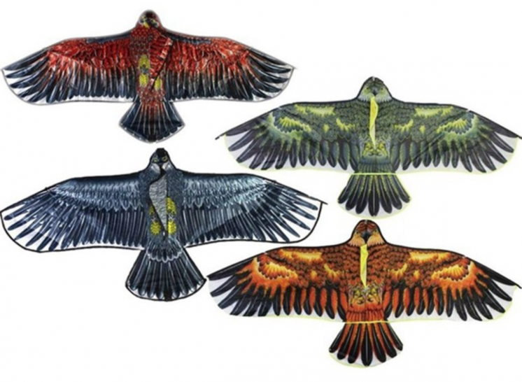 Воздушный летающий змей орел (кайт, Kite) птица