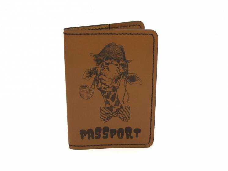 Обложка для паспорта Cp-gg1