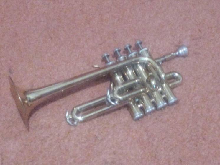 Труба пикколо Tromba Piccolo Bb/a Maxtone