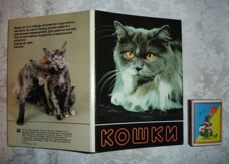 Комплект-КОШКИ-випуск 2; 18 кольорових фотолистівок; Москва, 1991