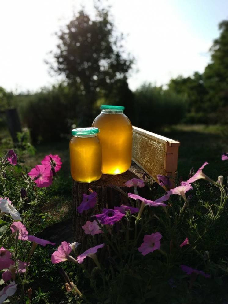 Ароматный мед из Черкасской области ( пересылка за наш счёт)