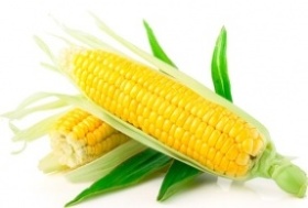 Гумат Калия -кукуруза