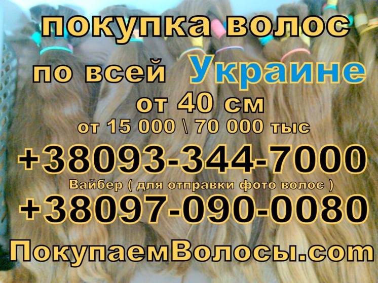Ооо Куплю - продать волосы Украина Продать волосы дорого