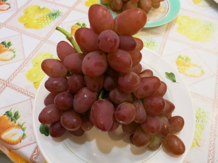 2-х летние саженцы столового винограда