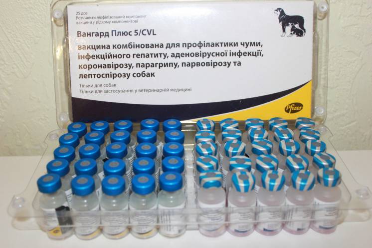 Вангард Плюс 5/CV-L - вакцина для собак