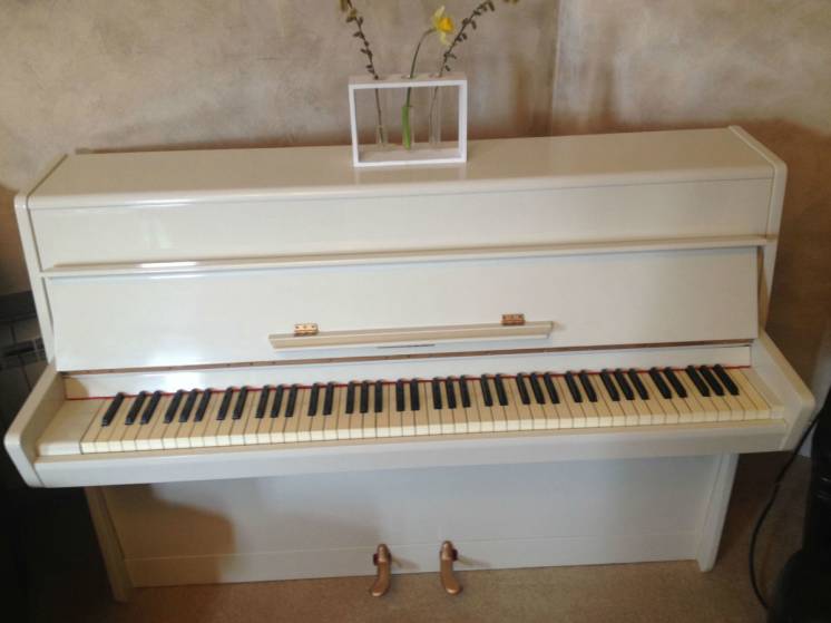 Настройка , ремонт, реставрация роялей и пианино