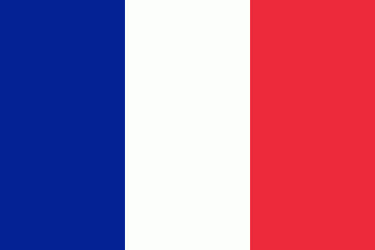 Флаг Франции / французский флаг 150*90 см (есть другие флаги