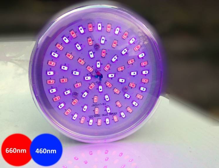 Светодиодная фитолампа 40Вт для подсветки растений (с пультом ДУ)