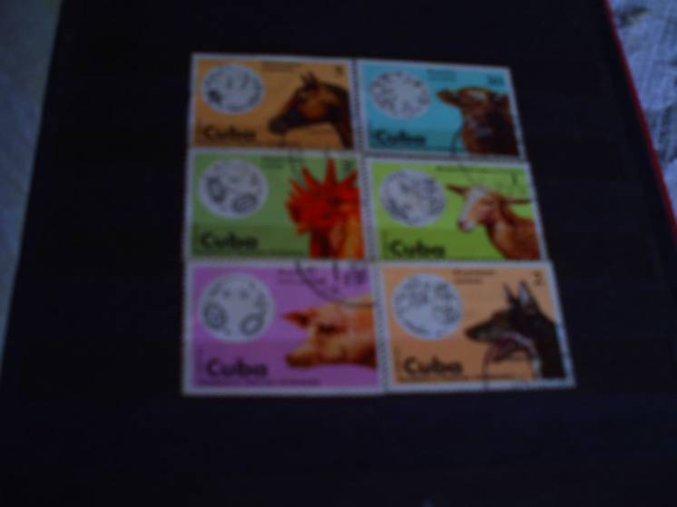 Серия марок:Ветеринарная медицина.Куба.1975 год.