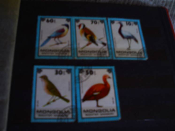 Серия марок:Птицы.Монголия.1979 год.