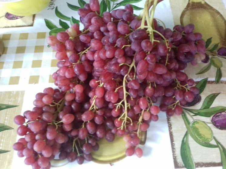 Чубуки (черенки) винограда