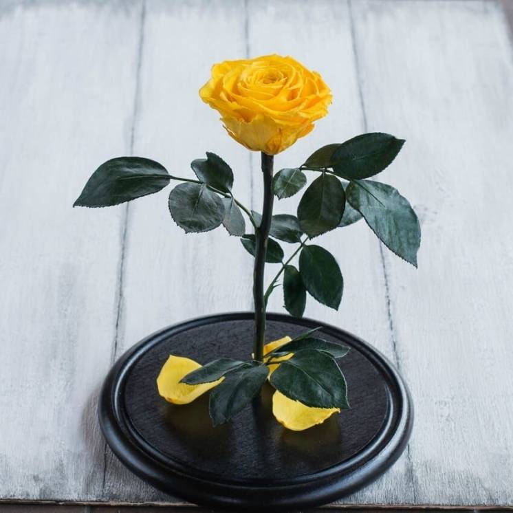 Стабилизированная роза в колбе Lerosh – Premium 33 см, Желтая