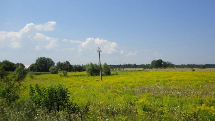 Земли промышленности рядом с г.Бровары, с. Квитневе, Киев.