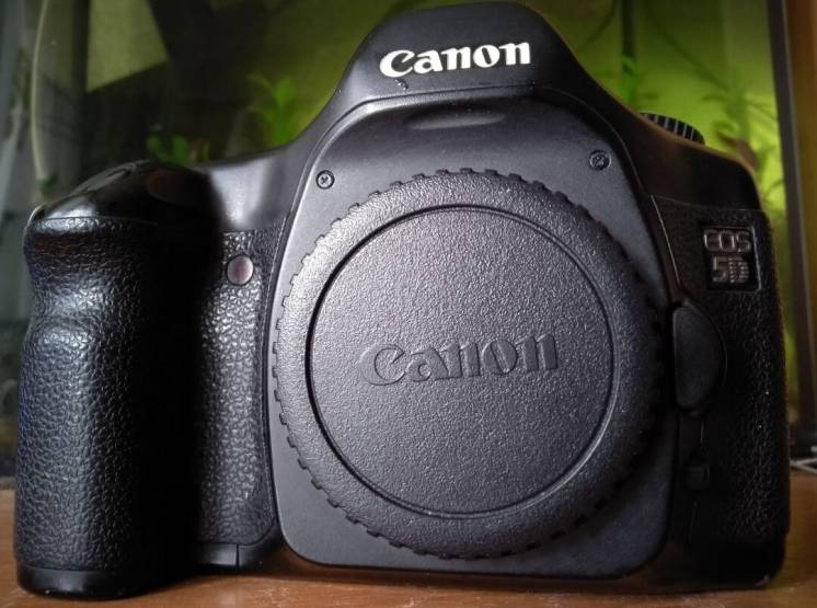 Зеркальная фотокамера EOS Canon 5d. Зеркальный фотоаппарат Canon 5d