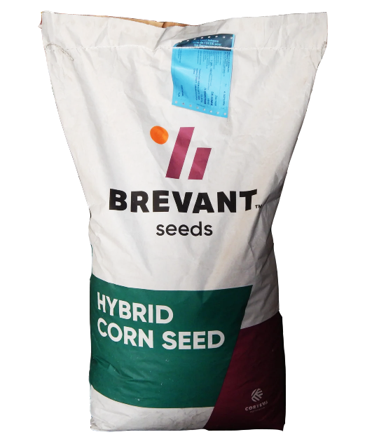 Семена кукурузы ДА СОНКА от компании BREVANT Seeds