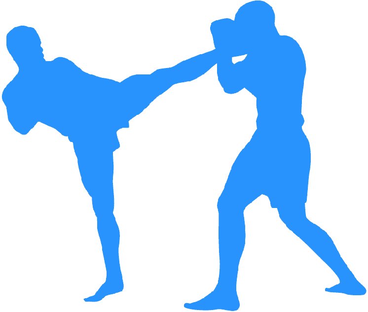 Тайский бокс, бокс, самооборона