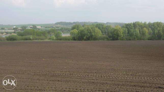 Продажа земли : ОСГ, Паи от 4,5 га и более..., Хозяйства в Украине