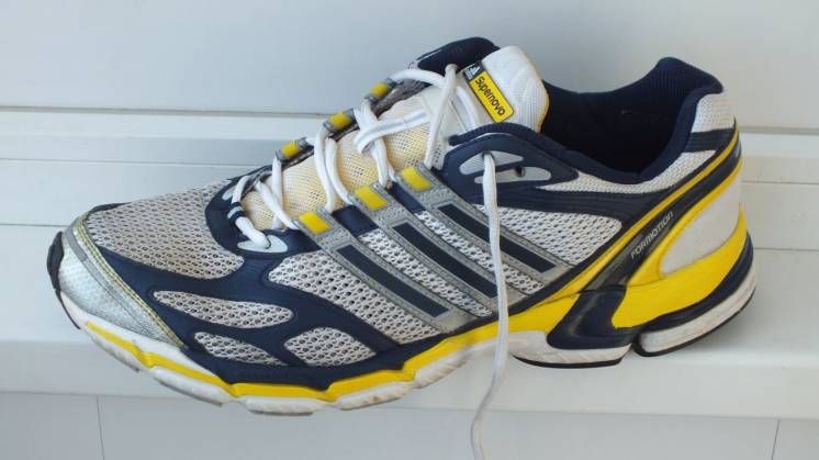 Кроссовки Adidas. Большого 48 (Euro 49) размера. Стелька 32 см.